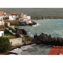 Ξυλινα Κουφωματα, Ενεργειακα Παραδοσιακα Ξυλινα Κουφωματα, πανω στο κυμα  στo Σιγρι Λεσβου